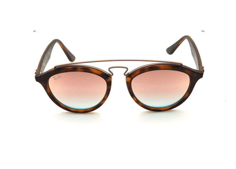 RAYBAN_0RB4257 Sunglasses Occhiali da sole